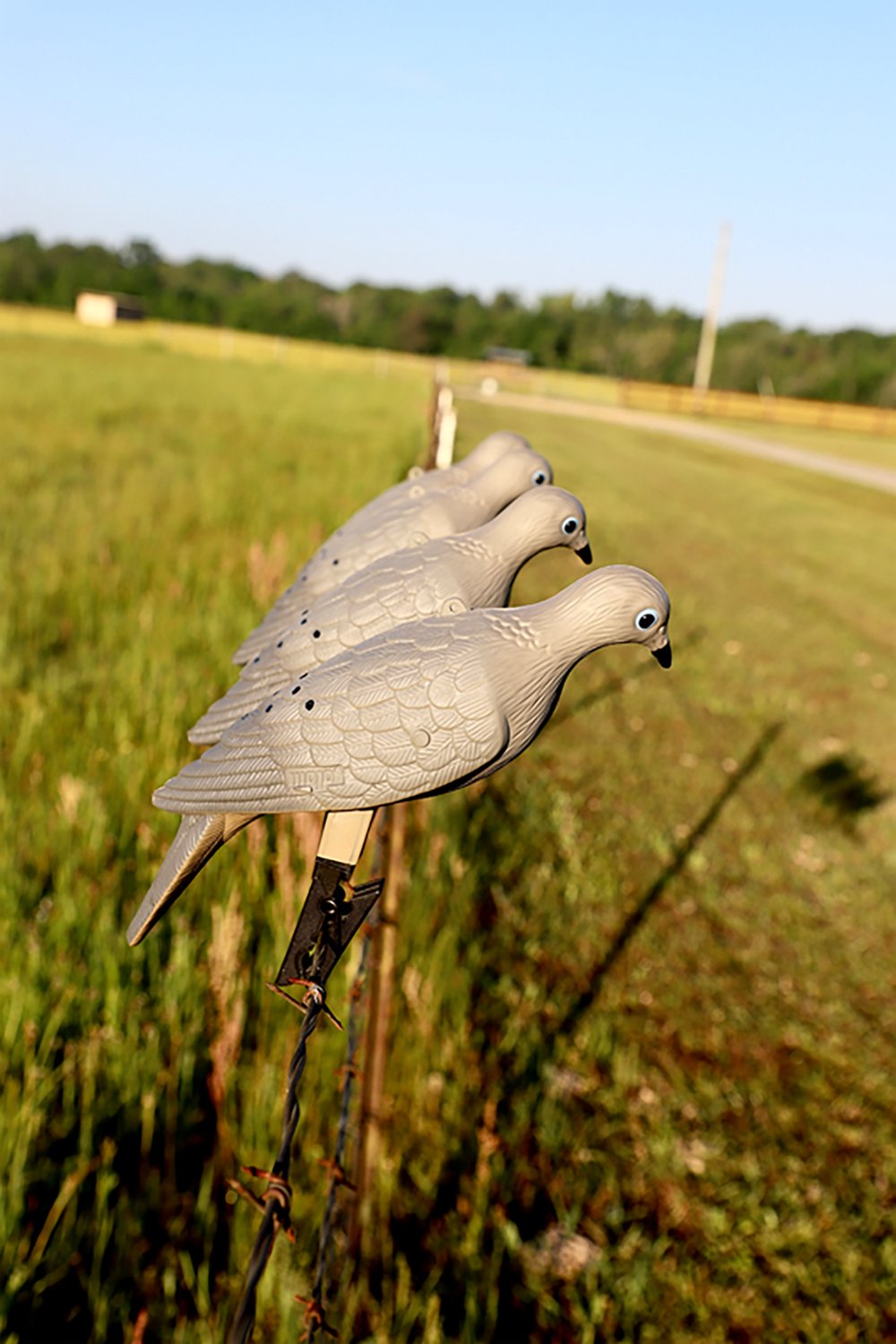 MOJO Outdoors Clip On Dove Decoys 4-Pack - view number 4