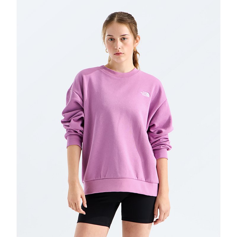 The North Face Women’s Evolution Simple Dome Oversize Crew Shirt (Size: Medium): Hushed Lavender