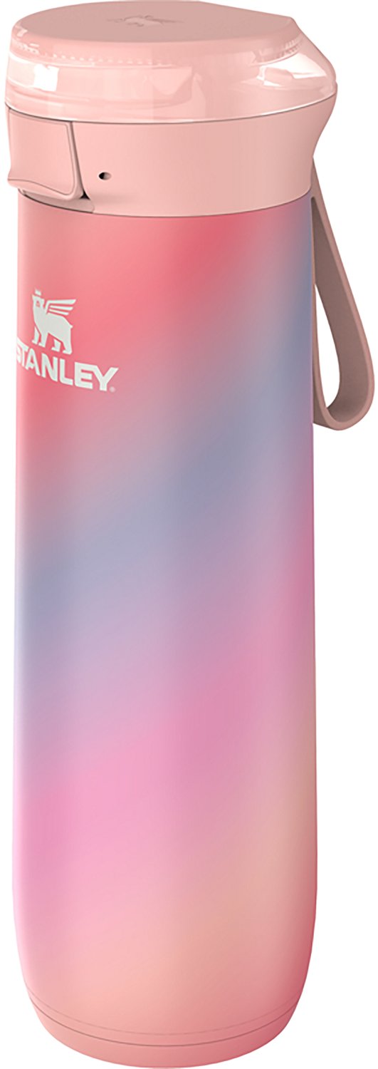 Stanley 20oz Flowstate Spring Bottle - view number 2