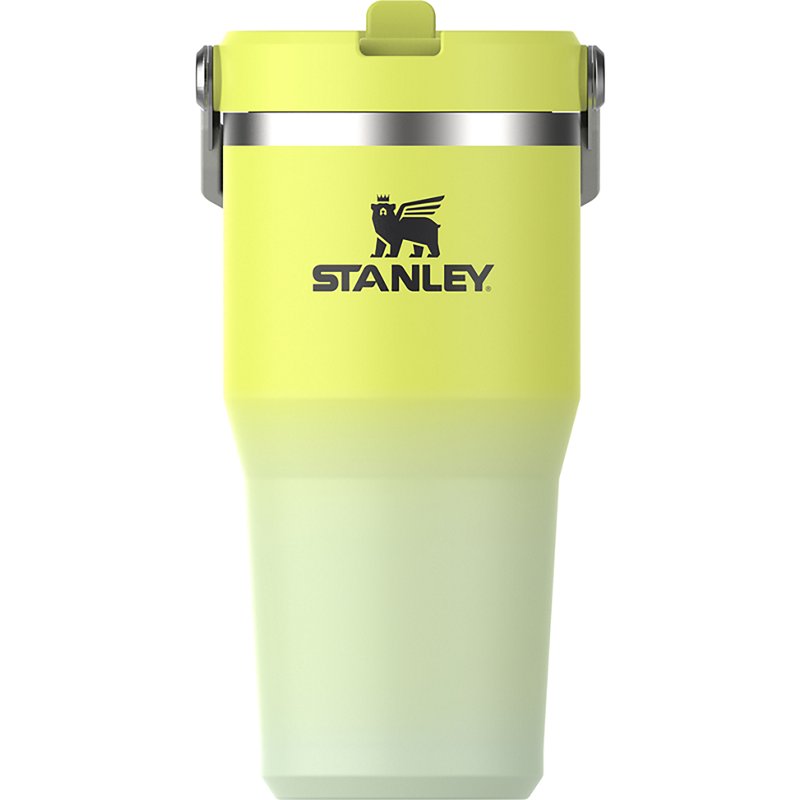 Stanley 20 oz Iceflow Flipstraw 2.0 Tumbler