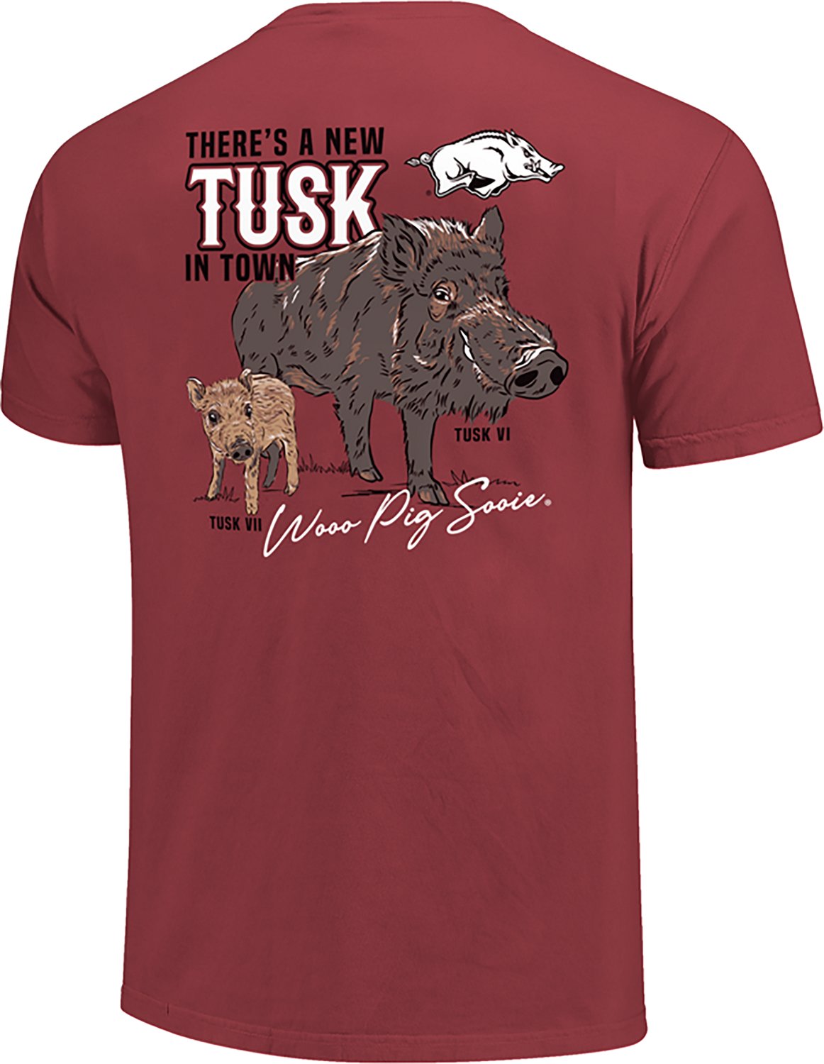 Image One Women's Arkansas Razorbacks New Tusk Town Oversized Crew Short Sleeve T-shirt