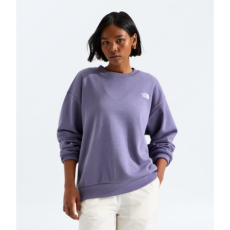 The North Face Women’s Evolution Simple Dome Oversize Crew Shirt (Size: Medium): Grounded Plum