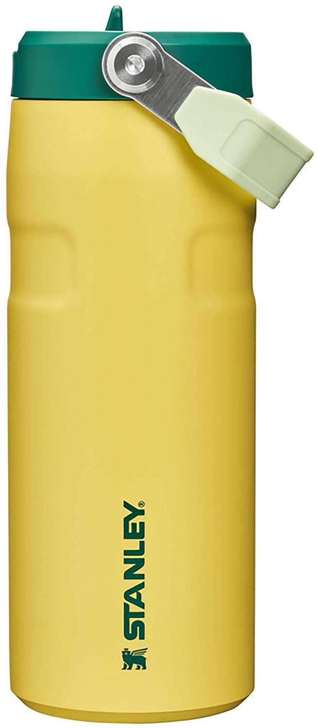 Stanley IceFlow 16 oz. Flip Straw Lid Water Bottle