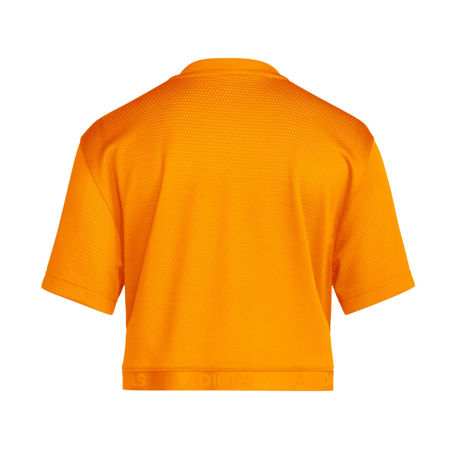 adidas Women's University of Tennessee Block T Cropped Football Jersey