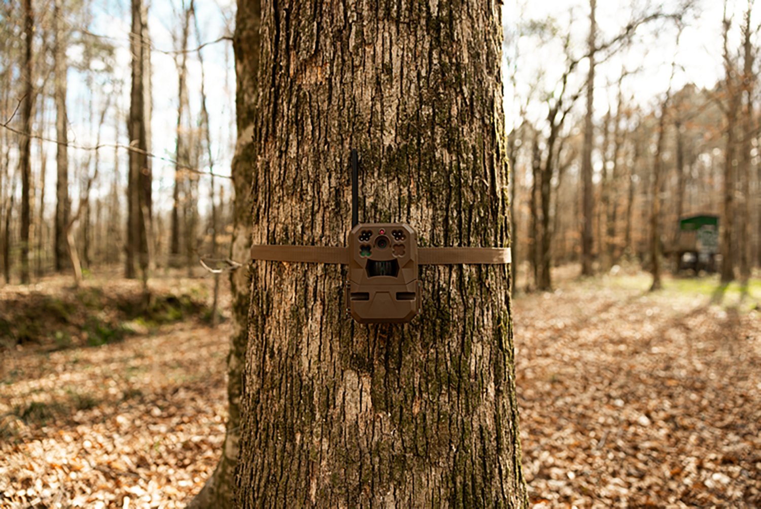Moultrie Edge 33.0 MP Cellular Camera 3-Pack