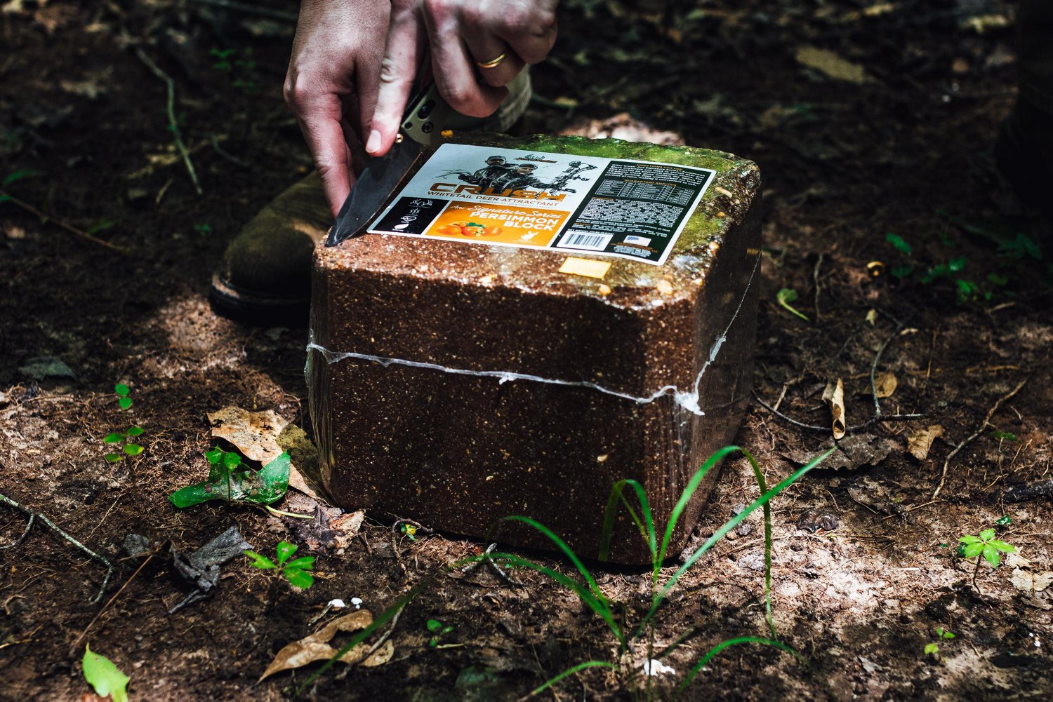 Anilogic CRUSH Persimmon Block Attractant - view number 2