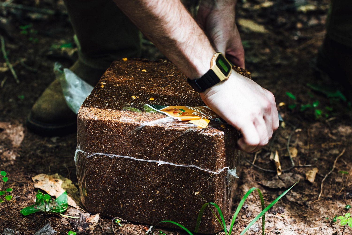 Anilogic CRUSH Persimmon Block Attractant - view number 3