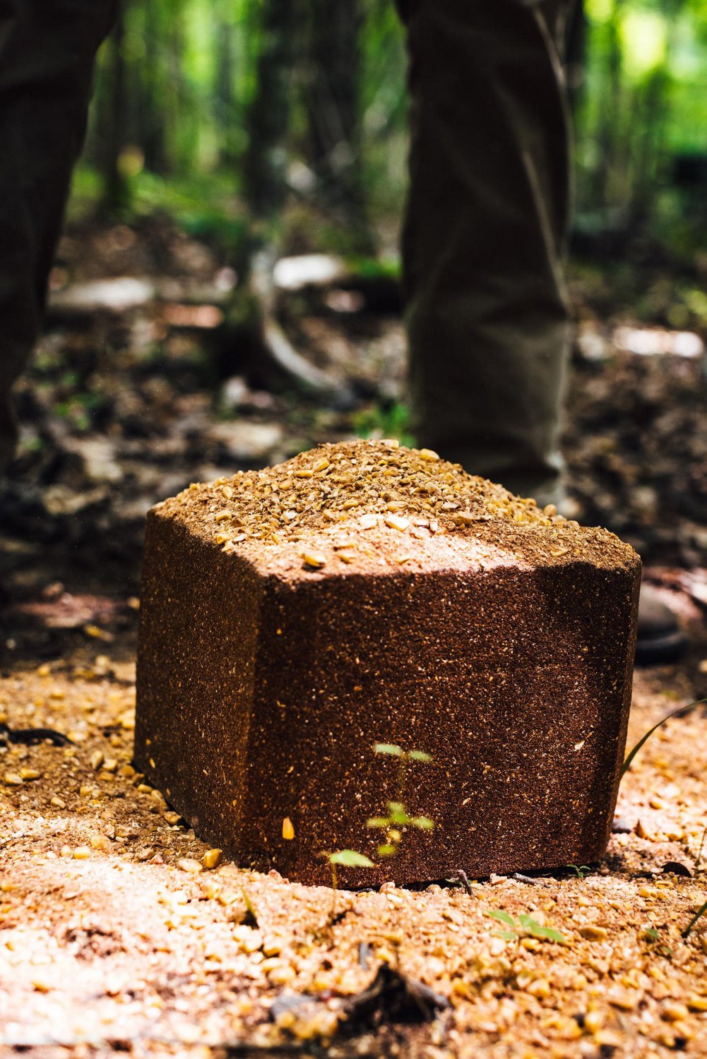 Anilogic CRUSH Persimmon Block Attractant - view number 6