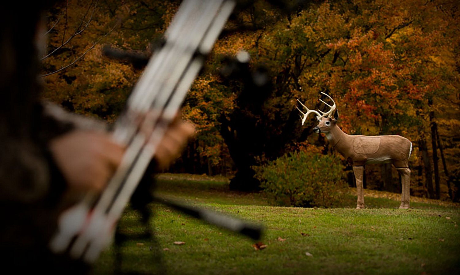 Delta McKenzie Bloodline Buck 3D Archery Target - view number 6