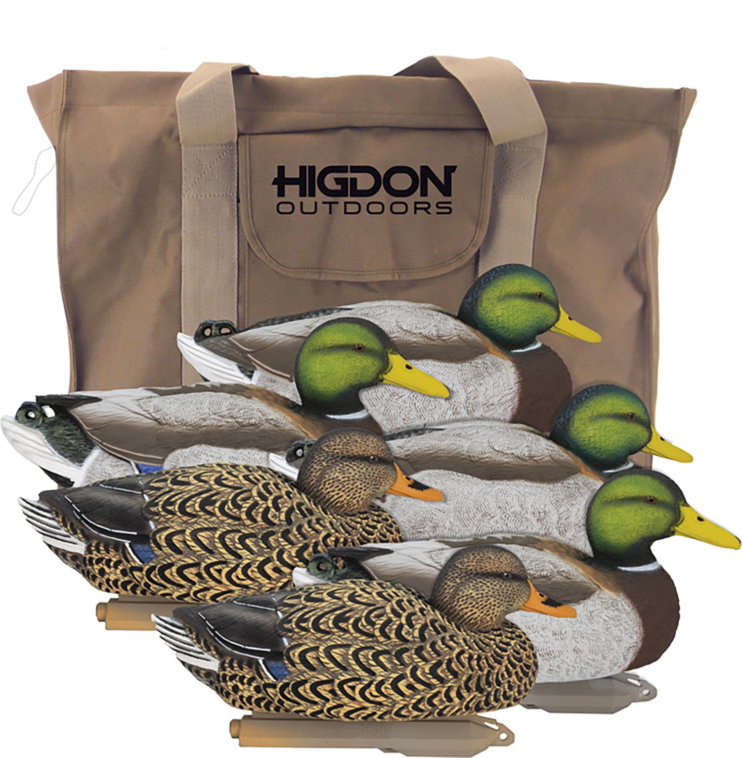 Higdon Legacy Series 3‑D Magnum Mallard Decoys with Slot Bag 6‑Pack