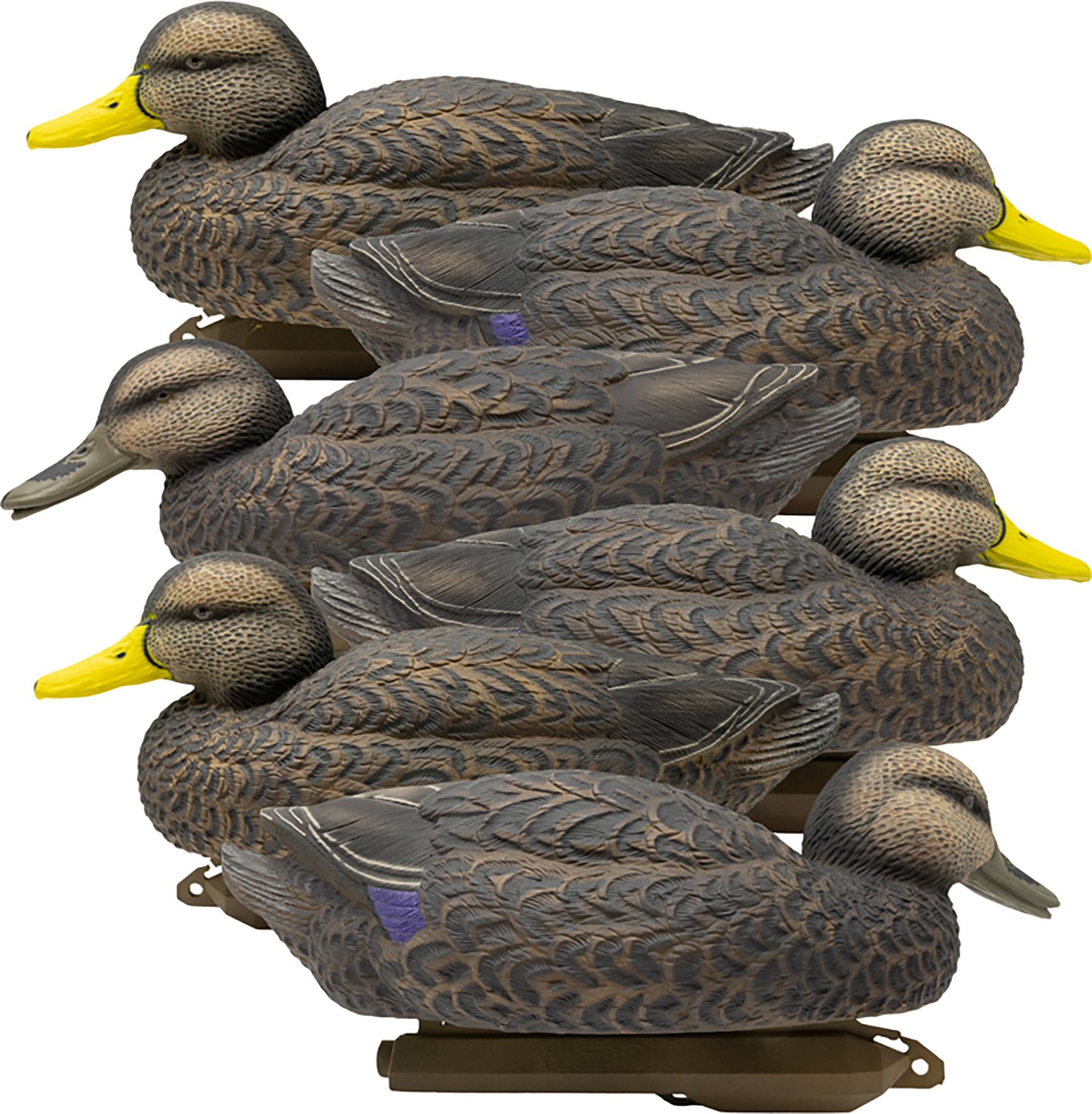 Higdon Legacy Series 3‑D Magnum Black Duck Decoys 6‑Pack - view number 2