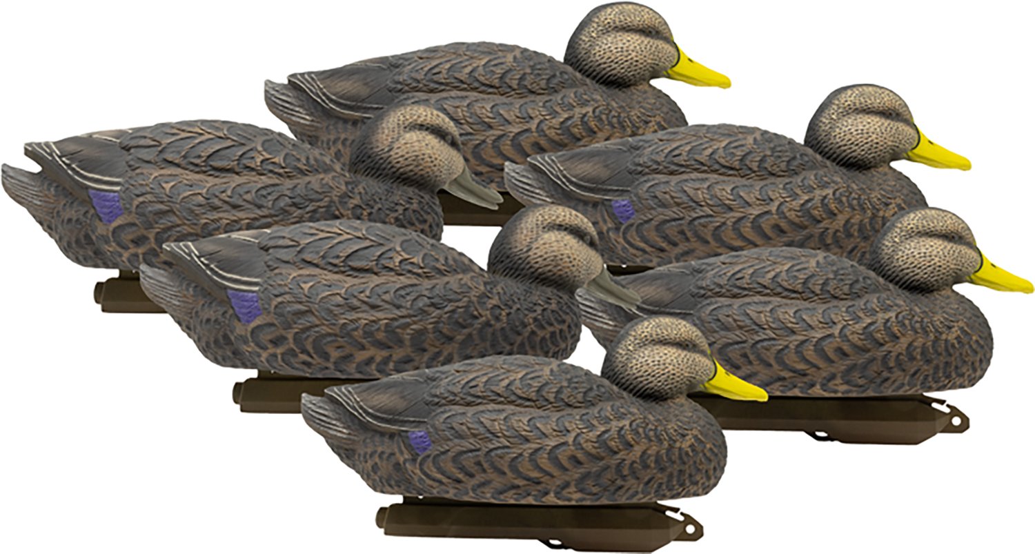 Higdon Legacy Series 3‑D Magnum Black Duck Decoys 6‑Pack - view number 3