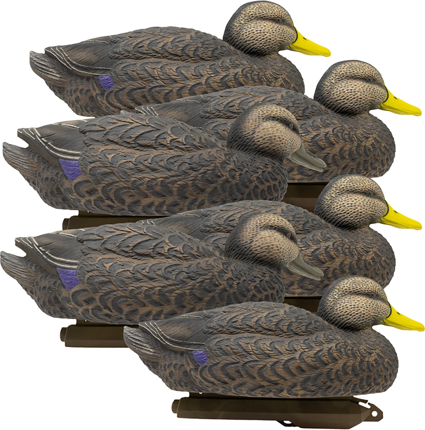 Higdon Legacy Series 3‑D Magnum Black Duck Decoys 6‑Pack - view number 4