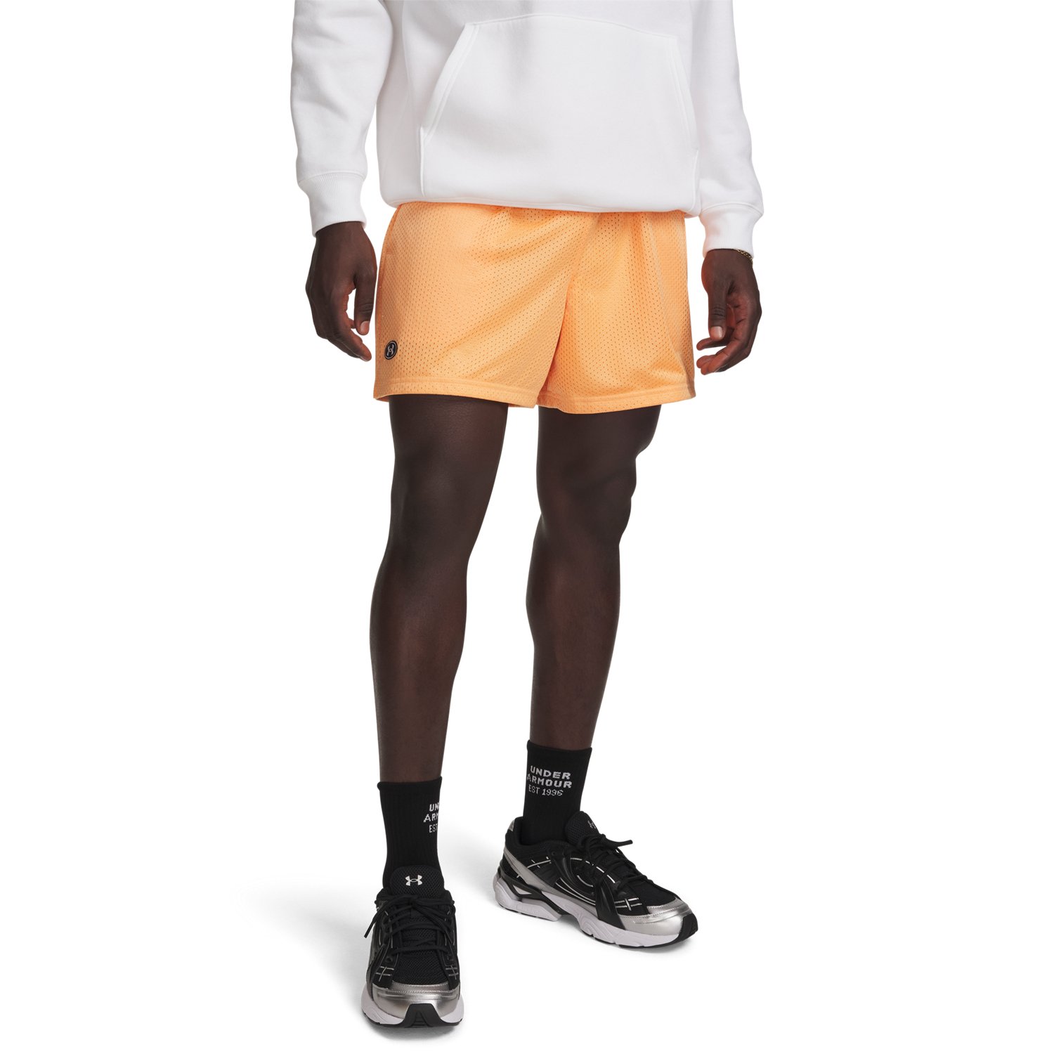 Under Armour Men's Icon Mesh Shorts 5 in