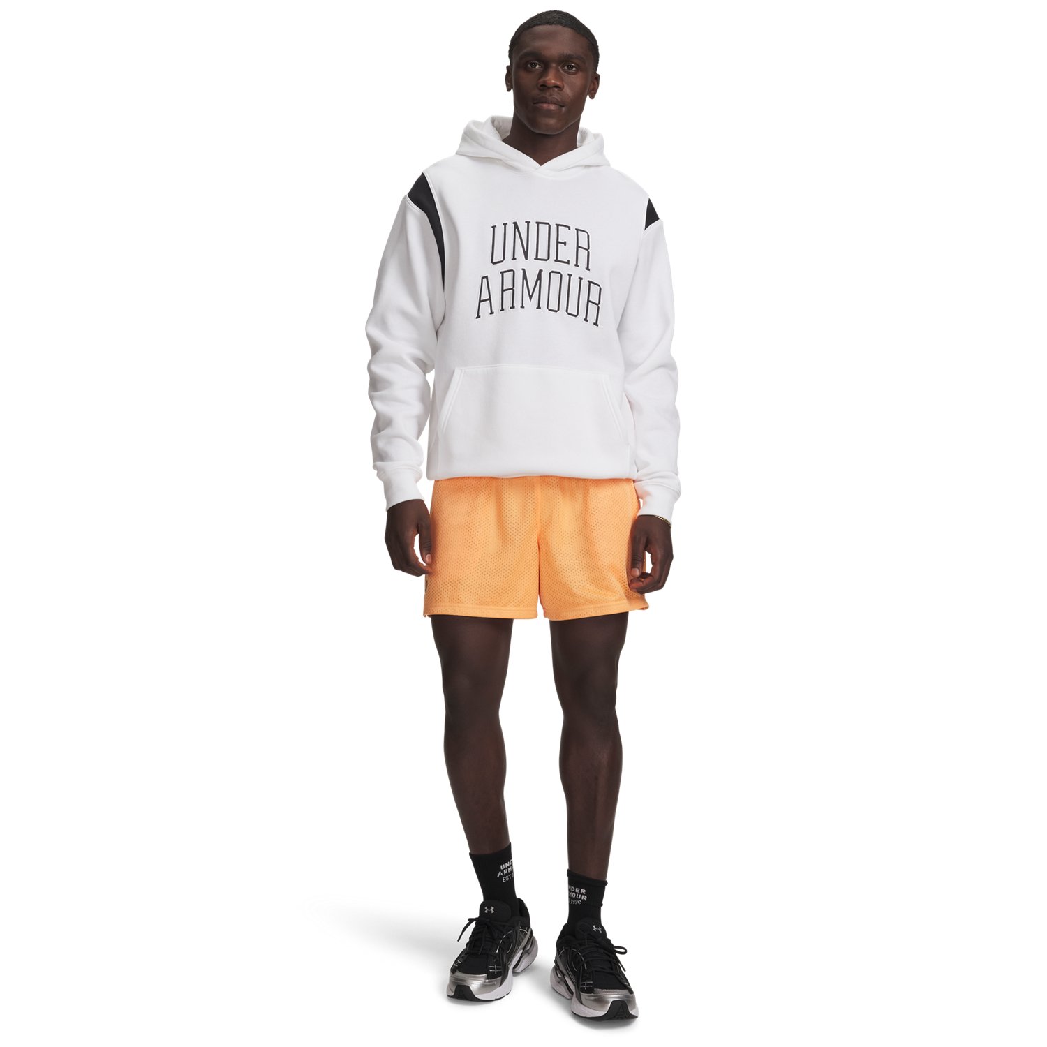 Under Armour Men's Icon Mesh Shorts 5 in - view number 3