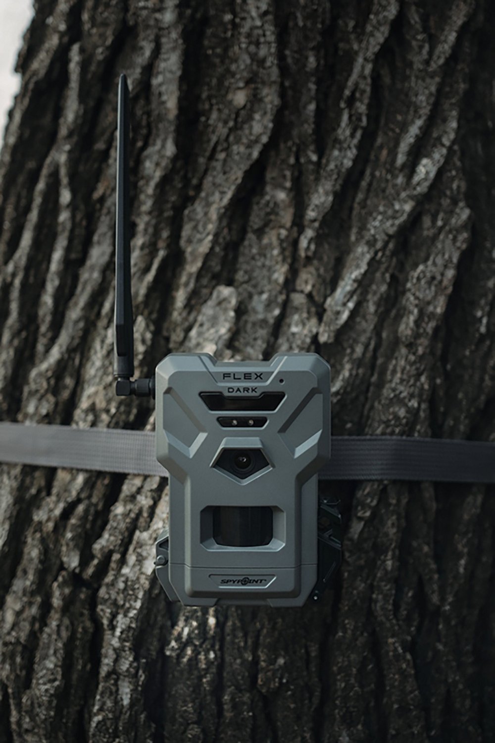 SpyPoint FLEX-DARK Trail Camera Ultimate Twin Pack Bundle