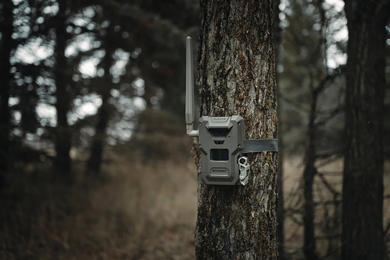 SpyPoint FLEX-M2 Trail Camera 3-Pack - view number 6