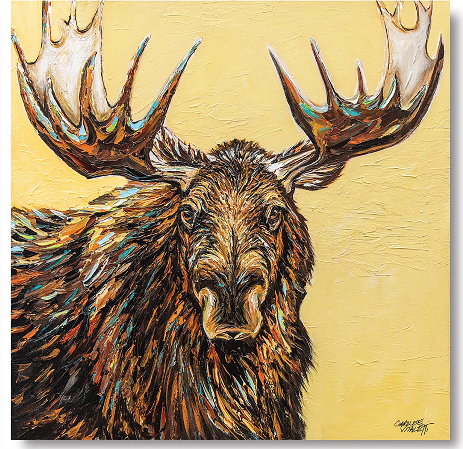 Courtside Market Large Moose 16 in x 16 in Gallery-Wrapped Canvas