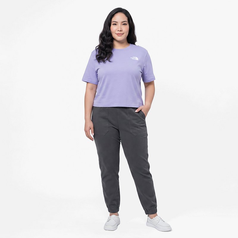The North Face Evolution Simple Dome Relaxed Cropped Short-Sleeve T-Shirt - Periwinkle Glow