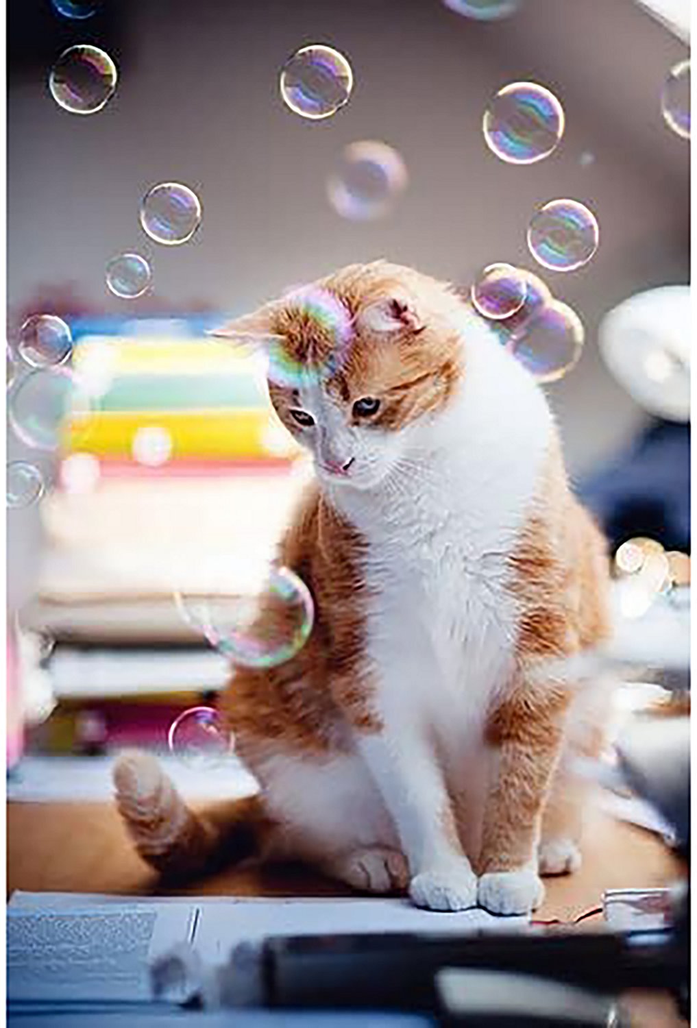 Atomic Bubbles Kitty Love 4 oz. Catnip Scented Bubbles Bottles 2-Pack - view number 3