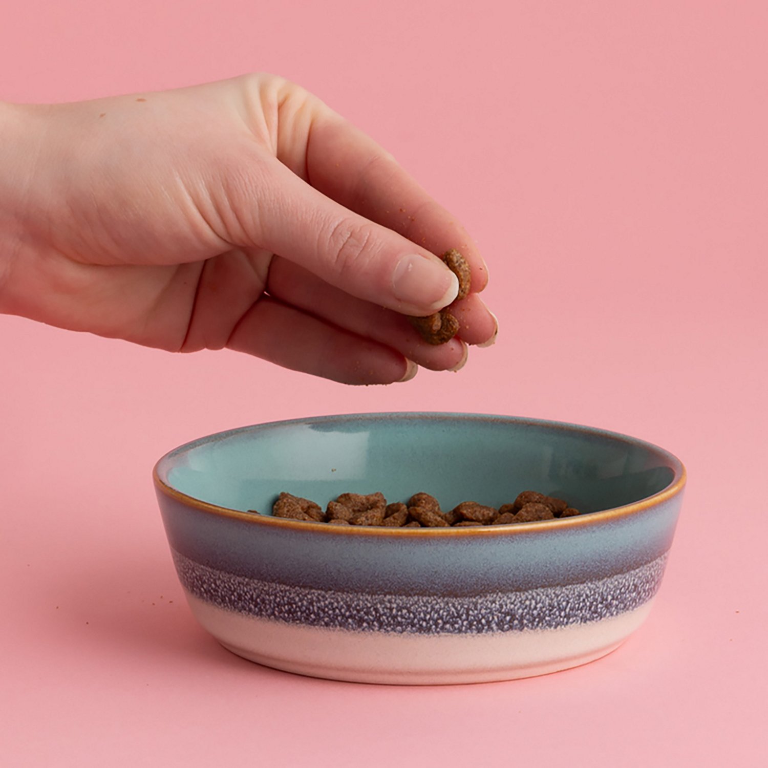 Mason Cash 5 in. Reactive Fade 10 oz. Pet Bowl