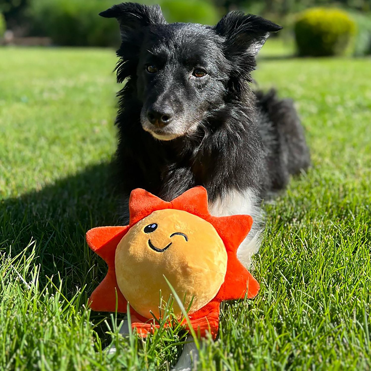 SnugArooz Sweet Sunshine 2-In-1 Dog Toy - view number 6