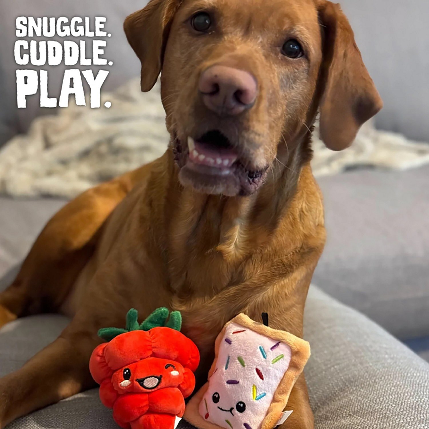 SnugArooz Poptart and Raspberry Plush Dog Toys 2-Pack - view number 4