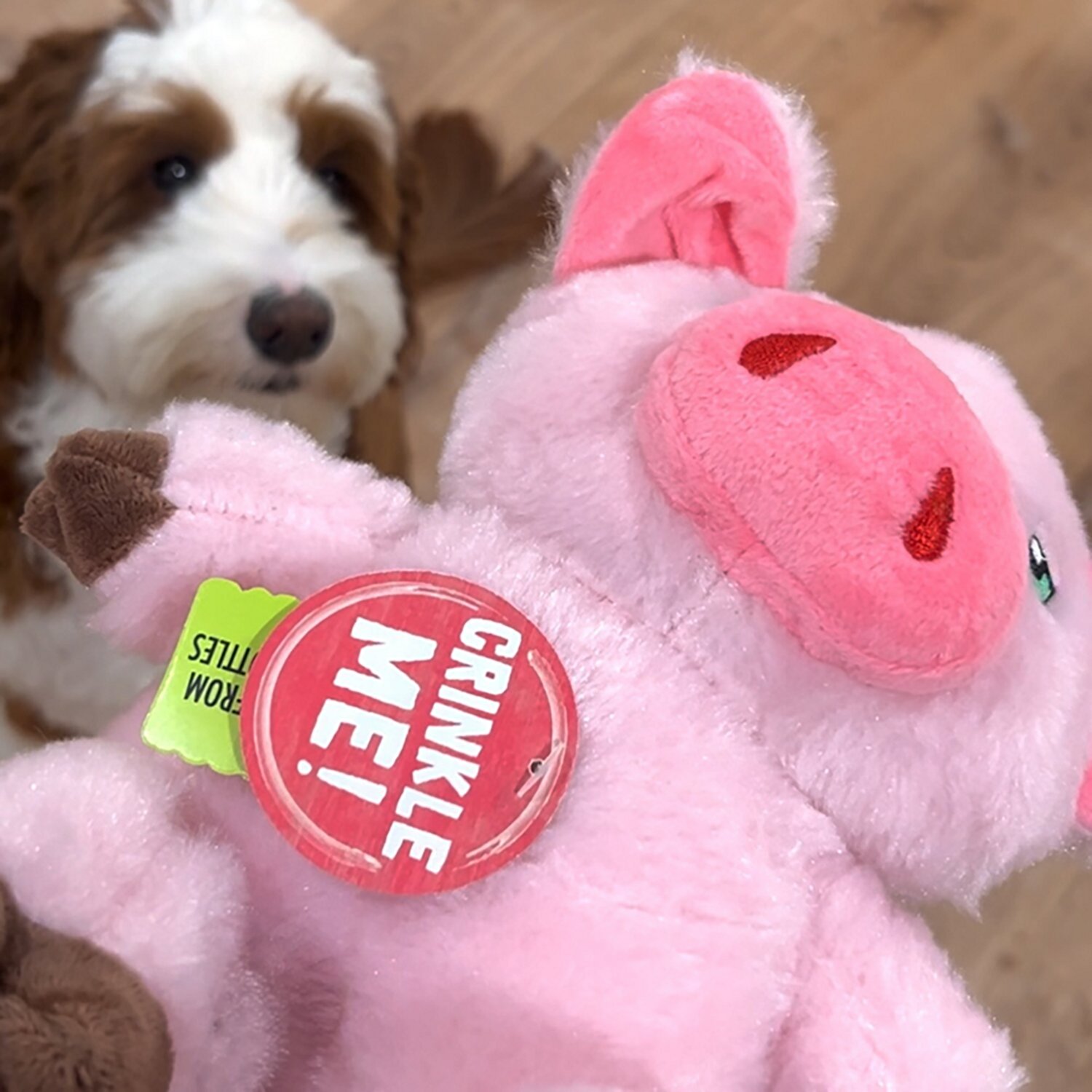 SnugArooz Phat Pig Plush Dog Toy