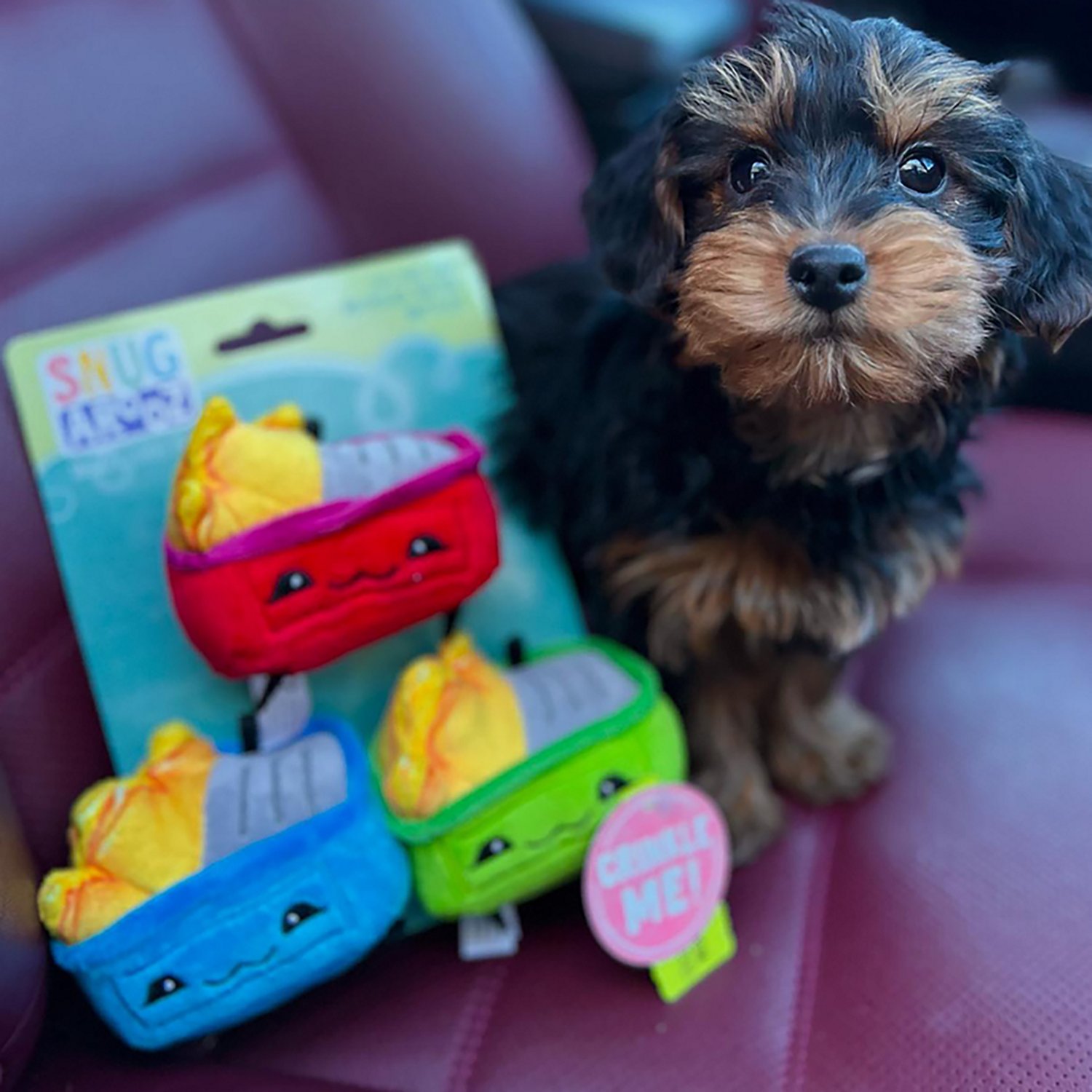SnugArooz LiL Baby Dumps Plush Dog Toys 3-Pack