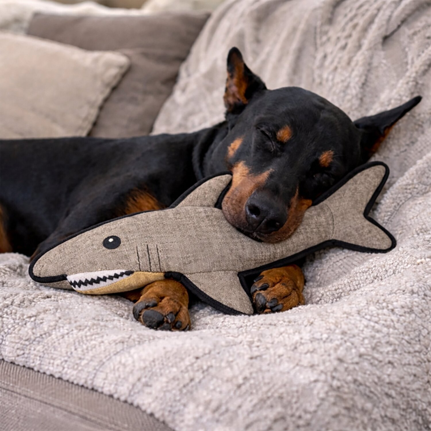 SnugArooz Saul the Shark 2-In-1 Plush Dog Toy - view number 4