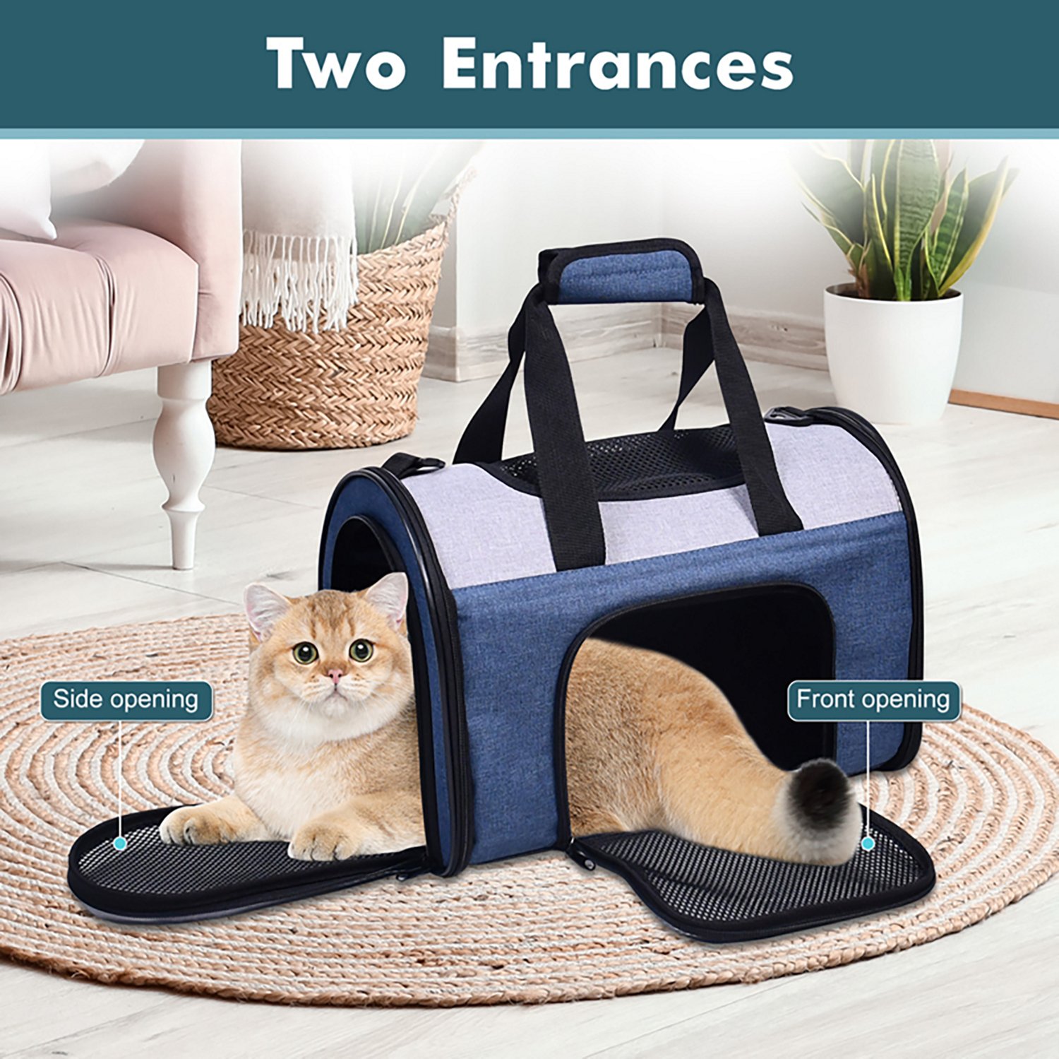 Jespet & Goopaws Sport Airline 16 in. Pet Carrier