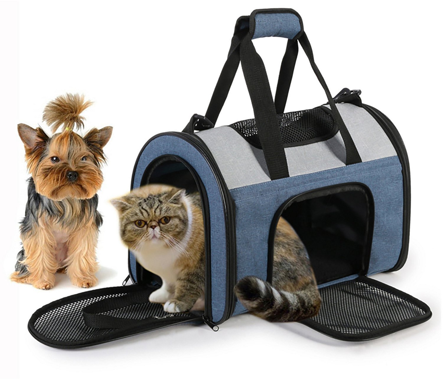 Jespet & Goopaws Sport Airline 16 in. Pet Carrier
