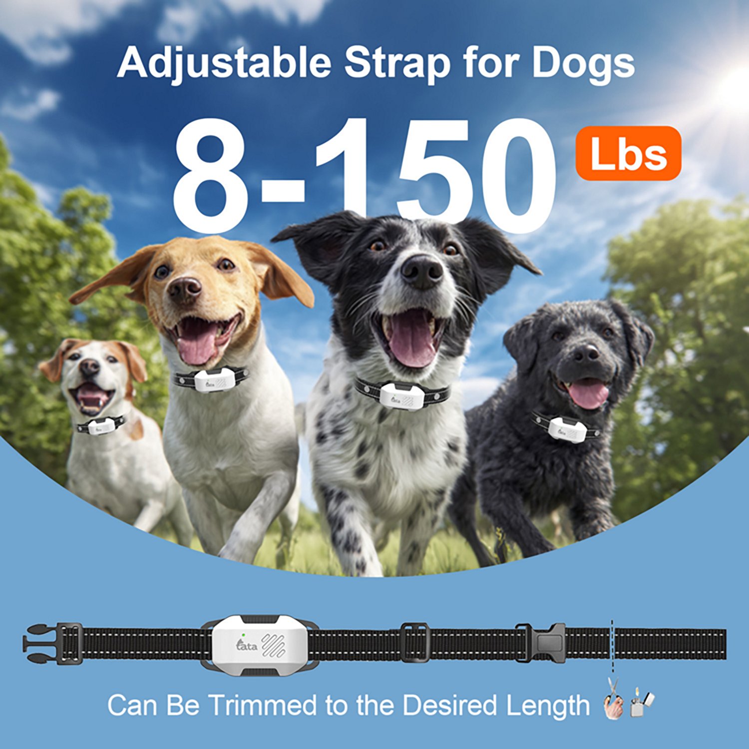 TATA PupGuide 3000 Lite Dog Remote Trainer Collar - view number 4