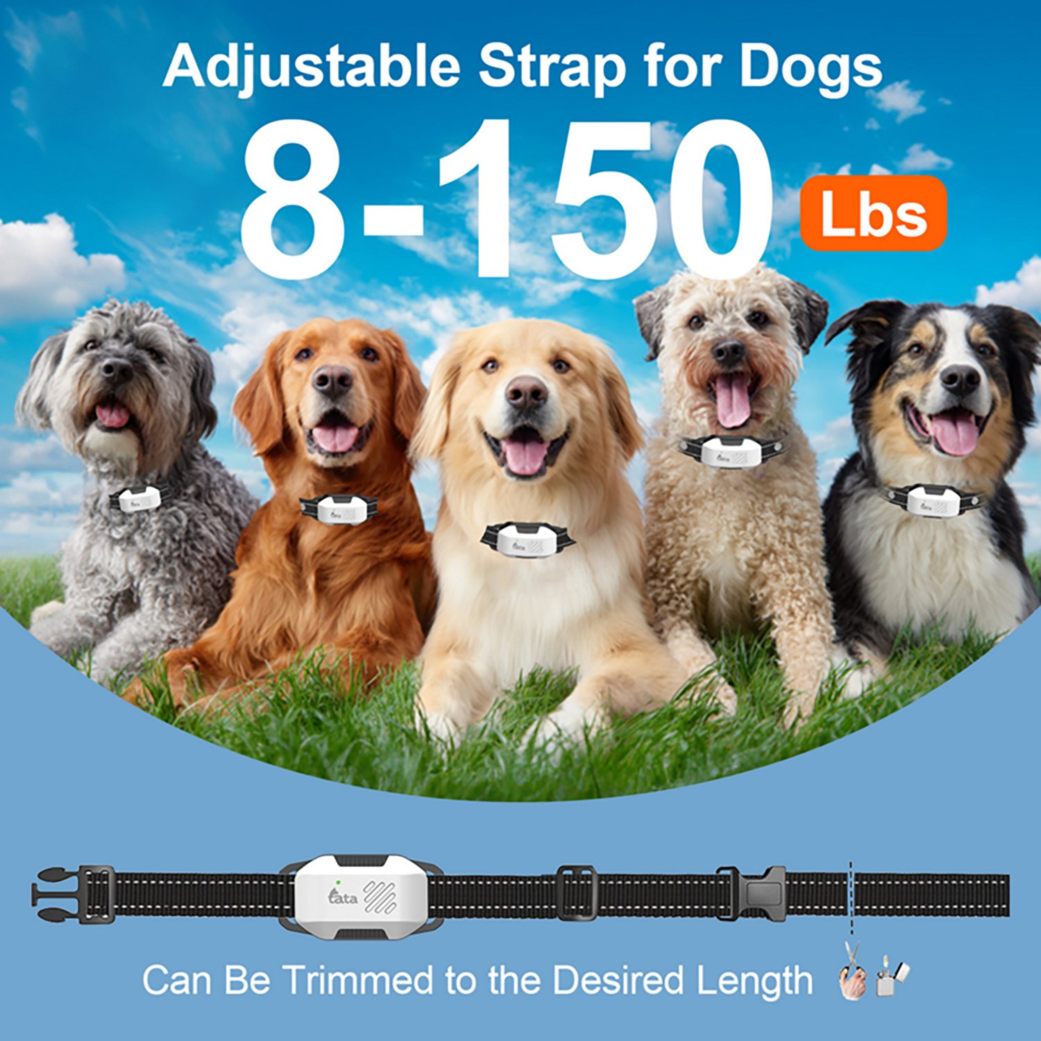 TATA PupGuide 3000 Pro 2-In-1 Ultrasonic Dog Remote Trainer Collar - view number 4