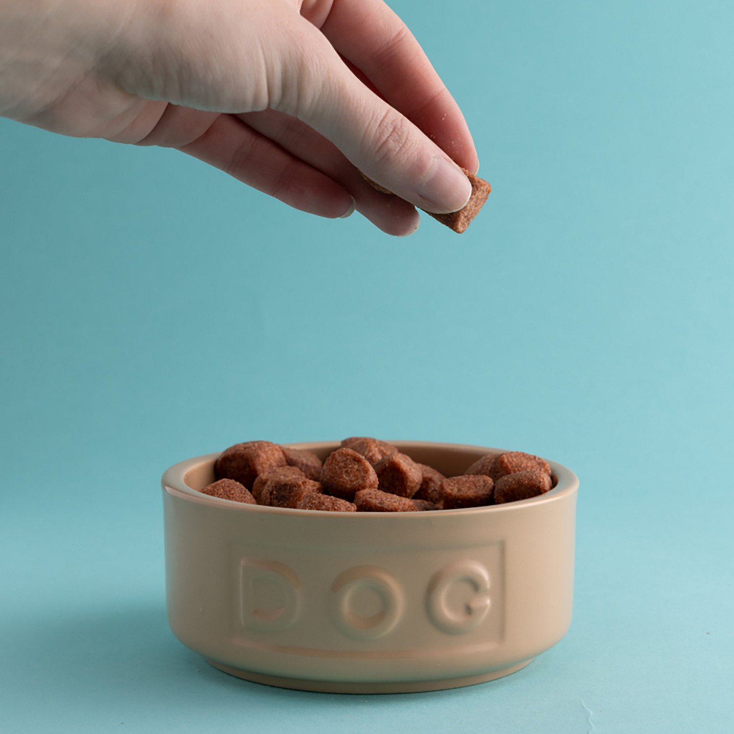Mason Cash 13.5 oz Cane Dog Bowl
