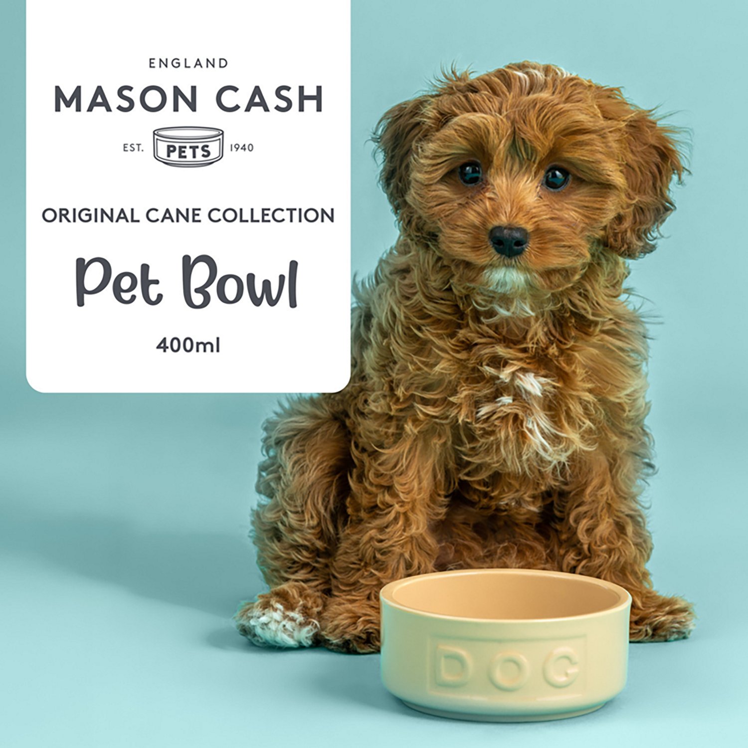 Mason Cash 13.5 oz Cane Dog Bowl
