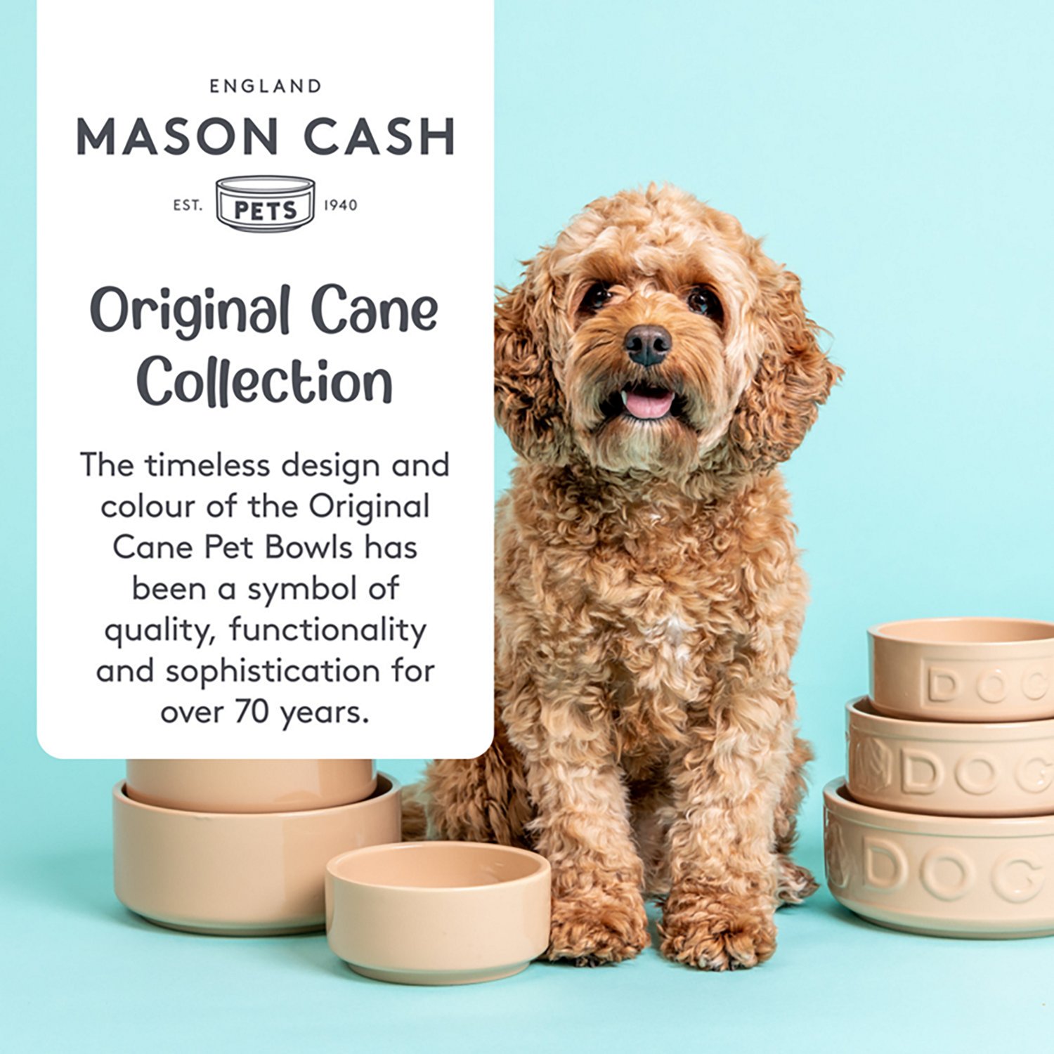 Mason Cash 13.5 oz Cane Dog Bowl