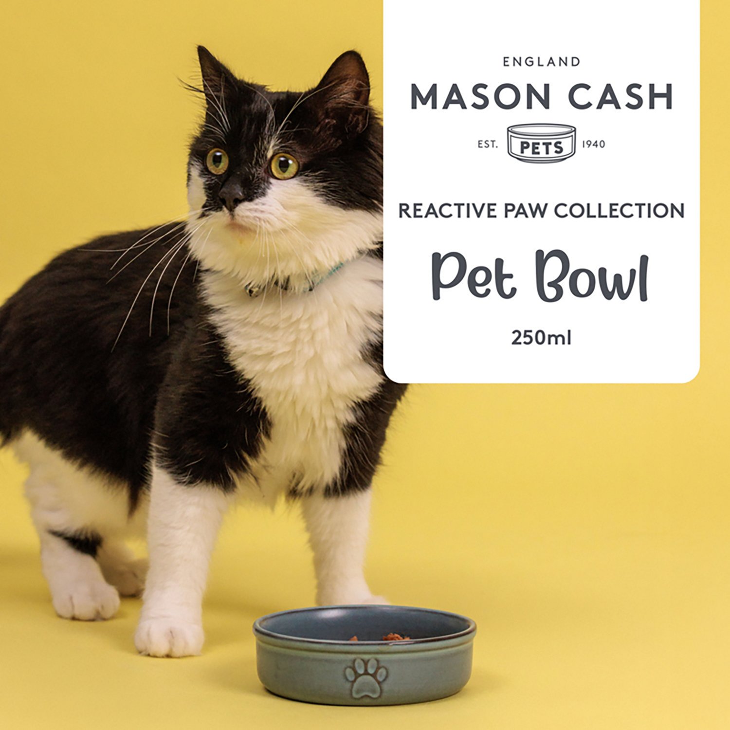 Mason Cash 8.4 oz Reactive Dog Bowl - view number 3