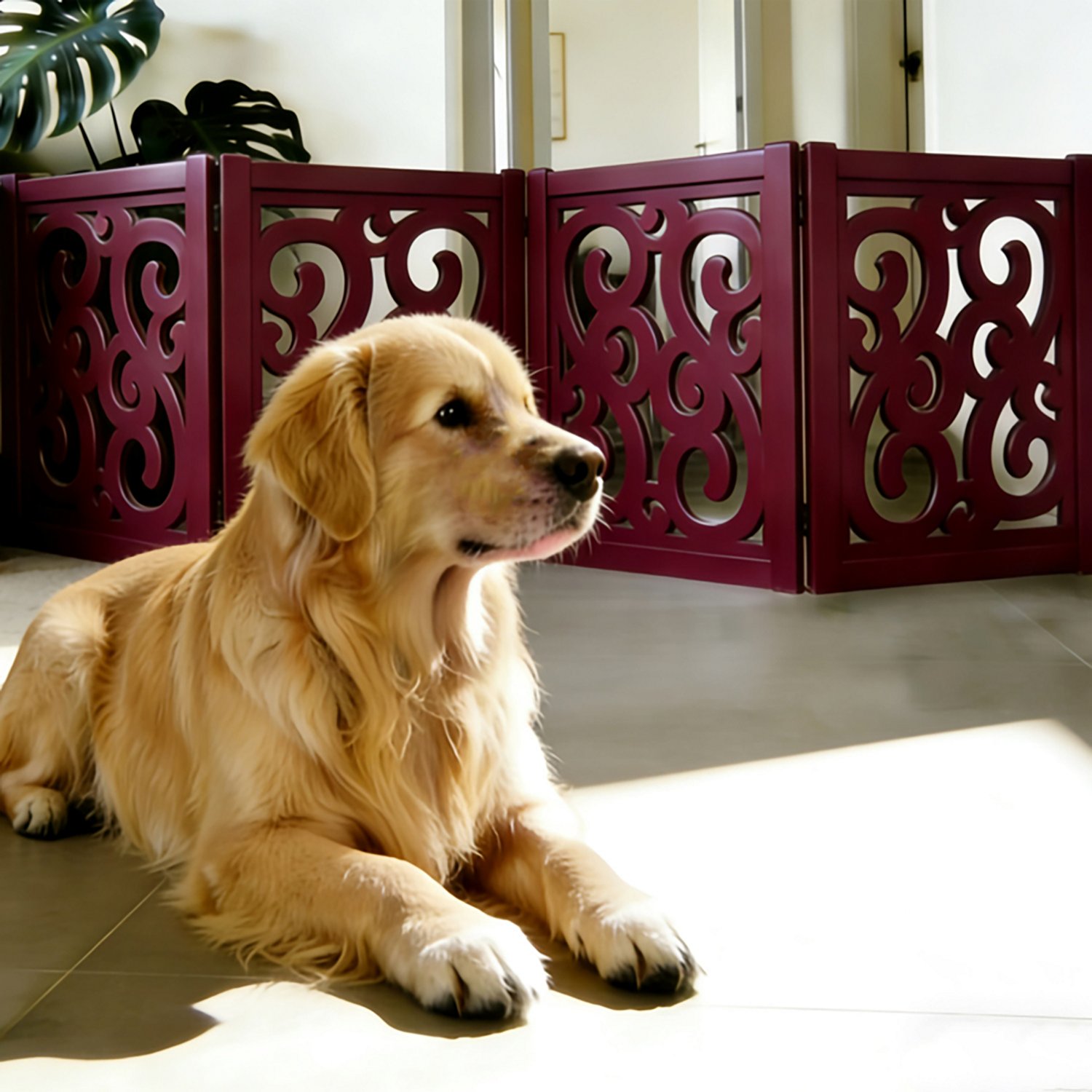 Ashfield & Harkness 4-Panel Pet Gate - view number 7