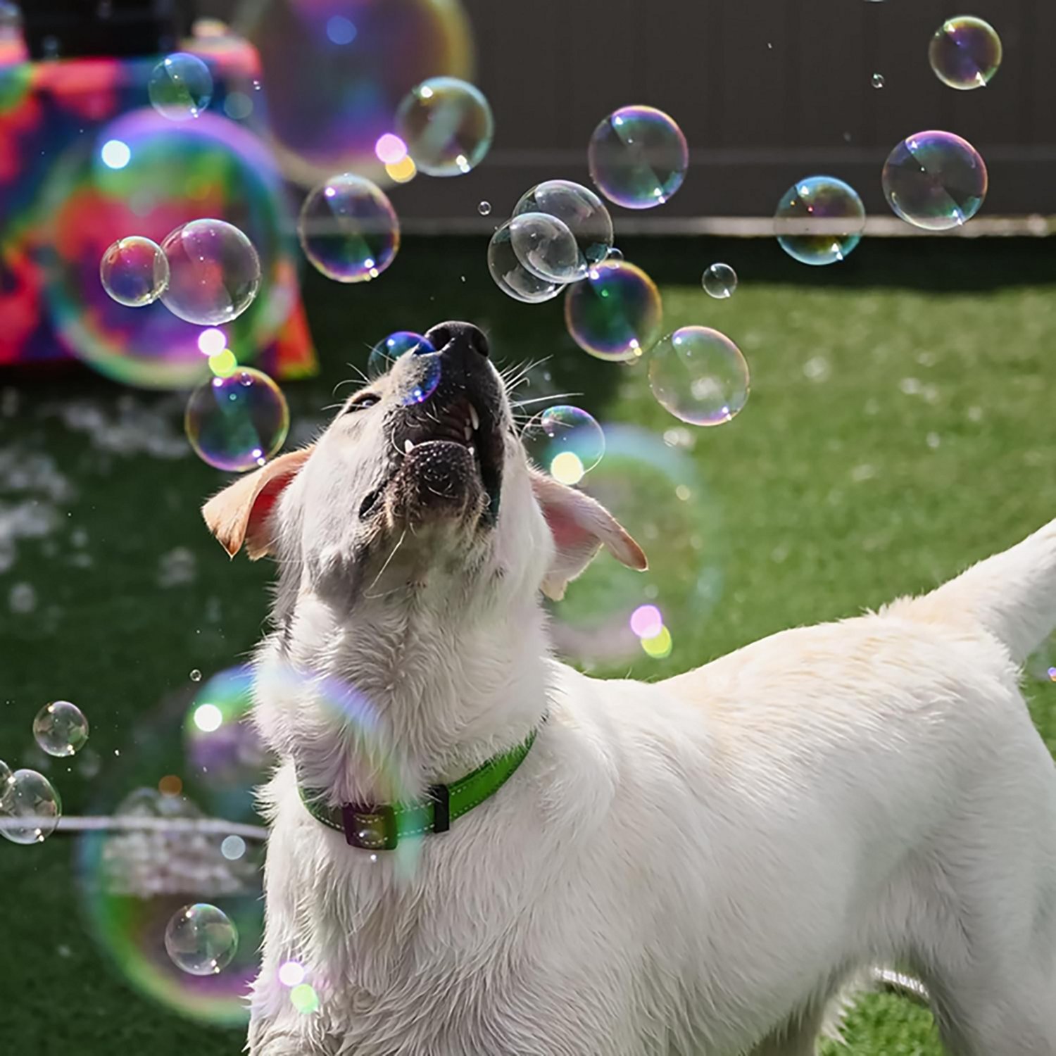 Atomic Bubbles Puppy Love Play and Spray Duo Calming Lavender 4 oz. Scented Bubble Bottle and 2 oz. Spray - view number 6