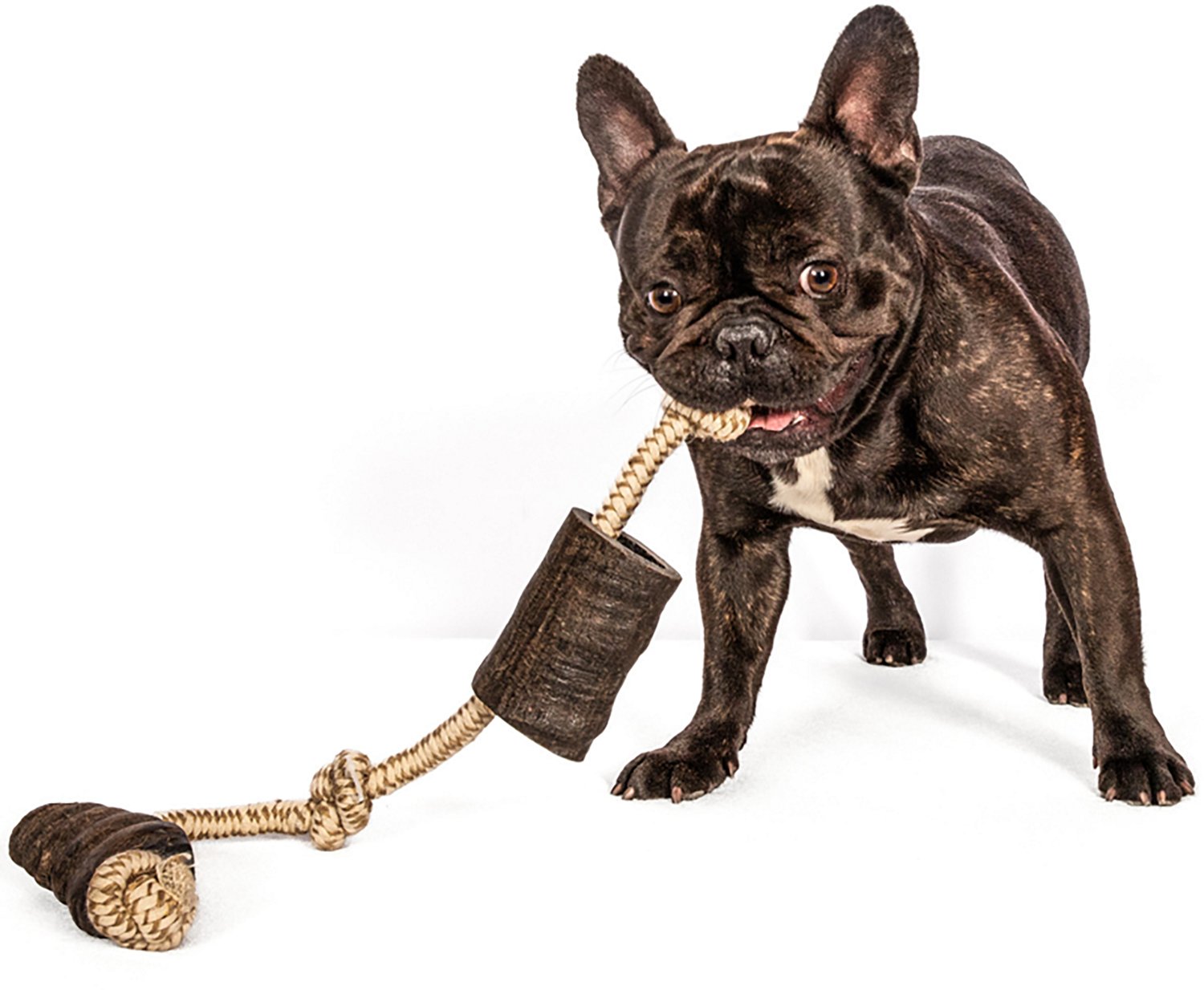 Mossy Oak Water Buffalo Horn and Tug Dog Chew 24 in. Knotted Natural Cotton Rope