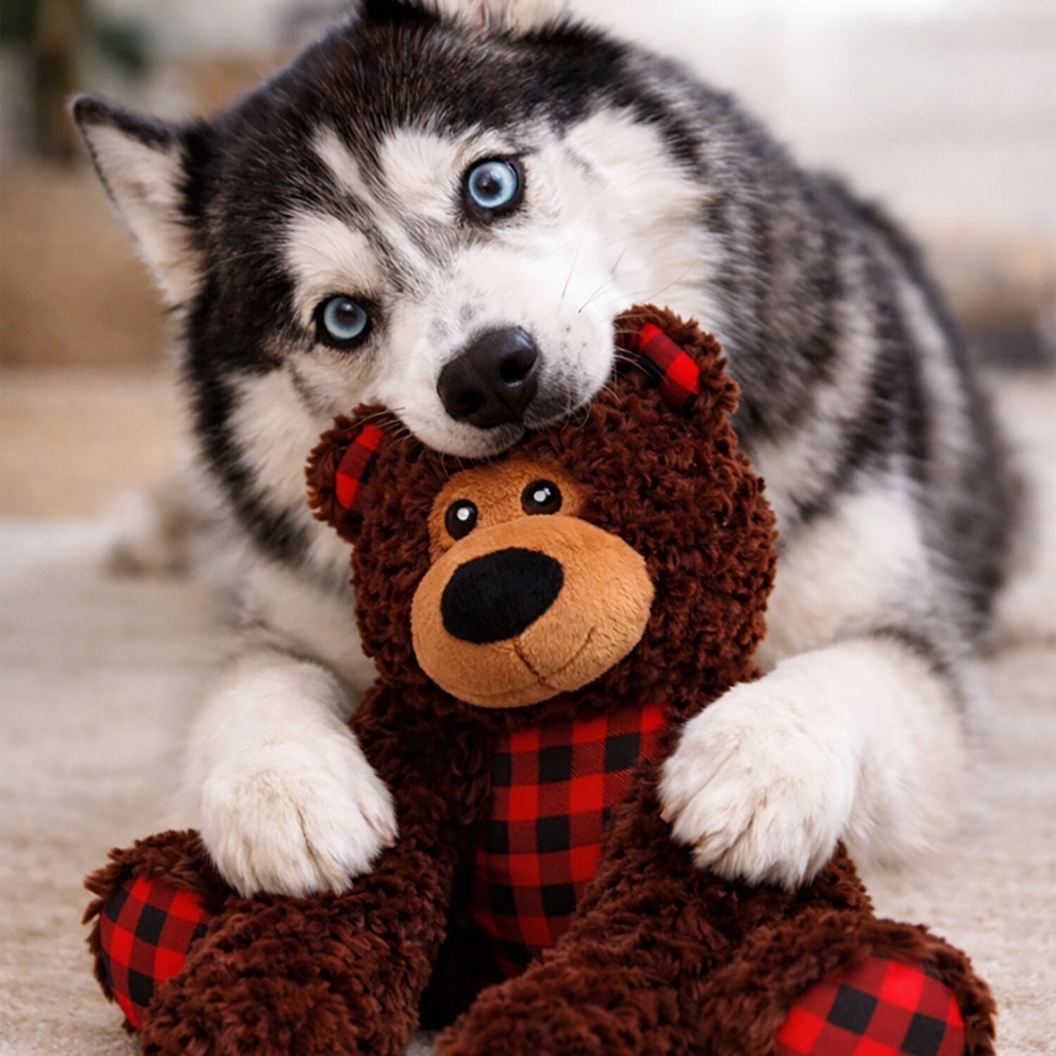 SnugArooz Benny the Bear Plush Dog Toy