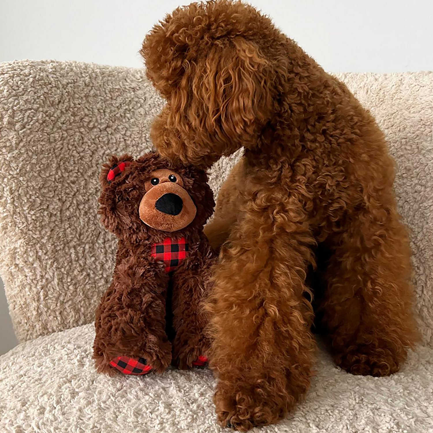 SnugArooz Benny the Bear Plush Dog Toy