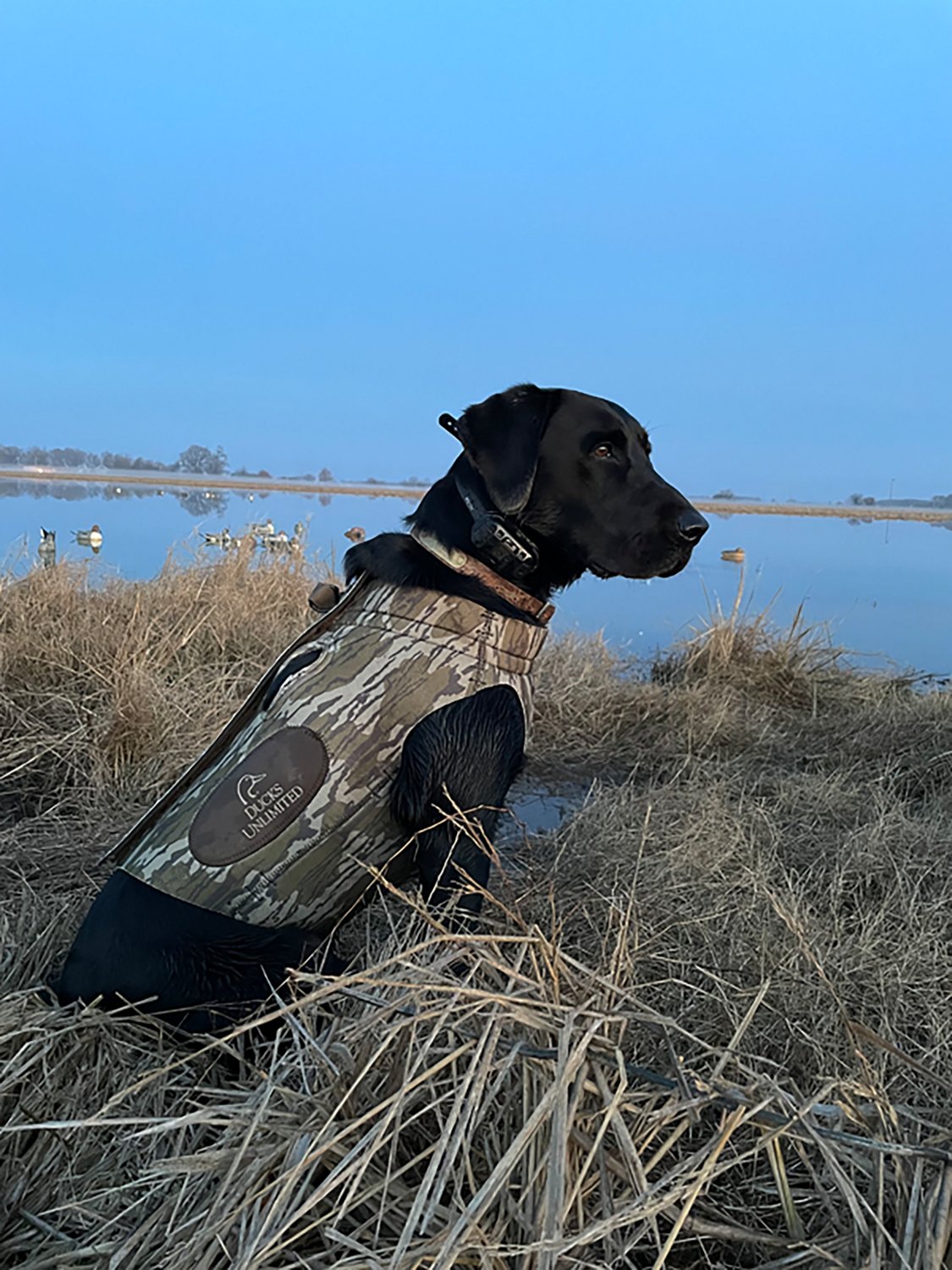 ALPS Outdoorz Ducks Unlimited Topflight XL Dog Vest - view number 5