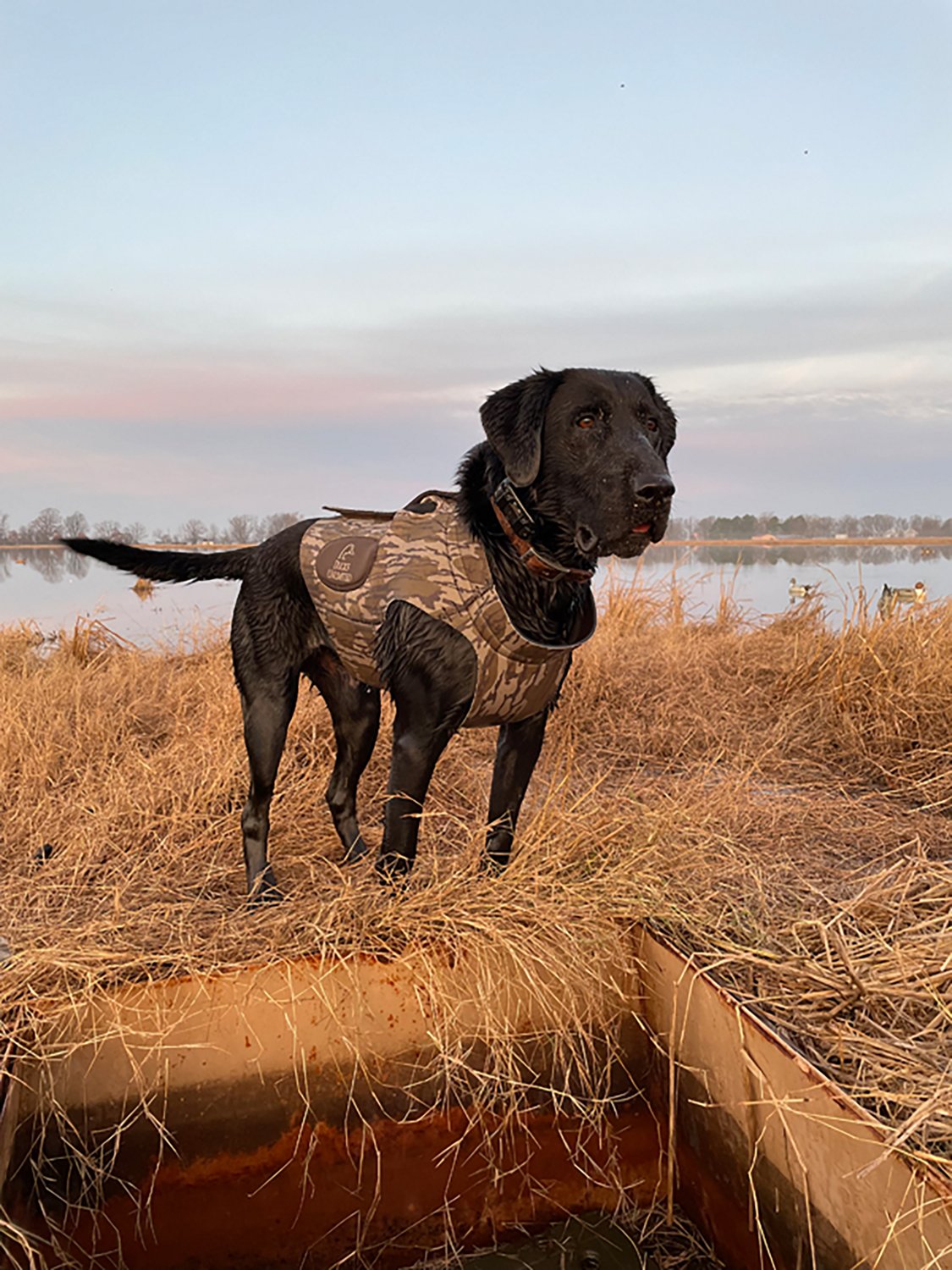 ALPS Outdoorz Ducks Unlimited Topflight XL Dog Vest - view number 6