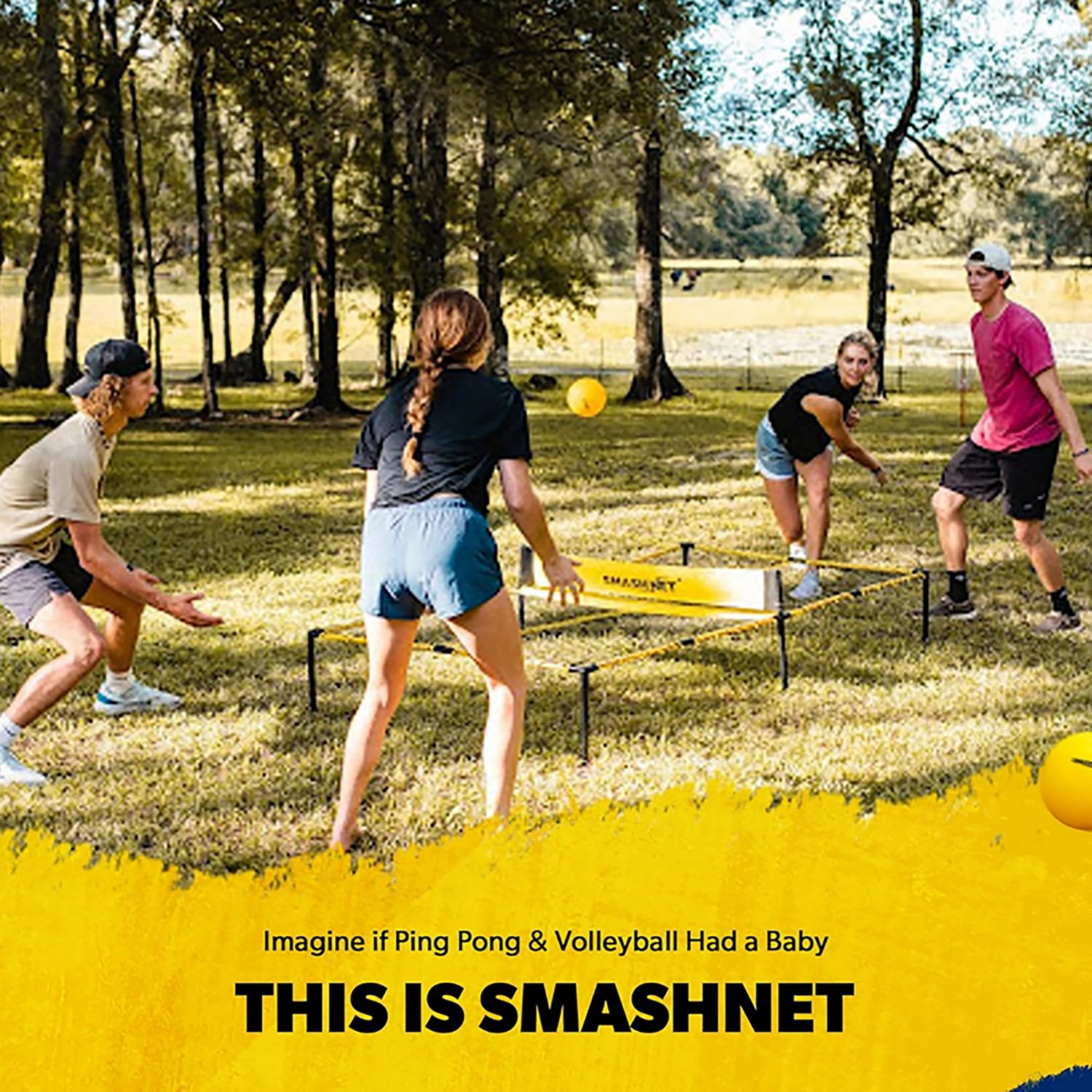 SmashNet - view number 5