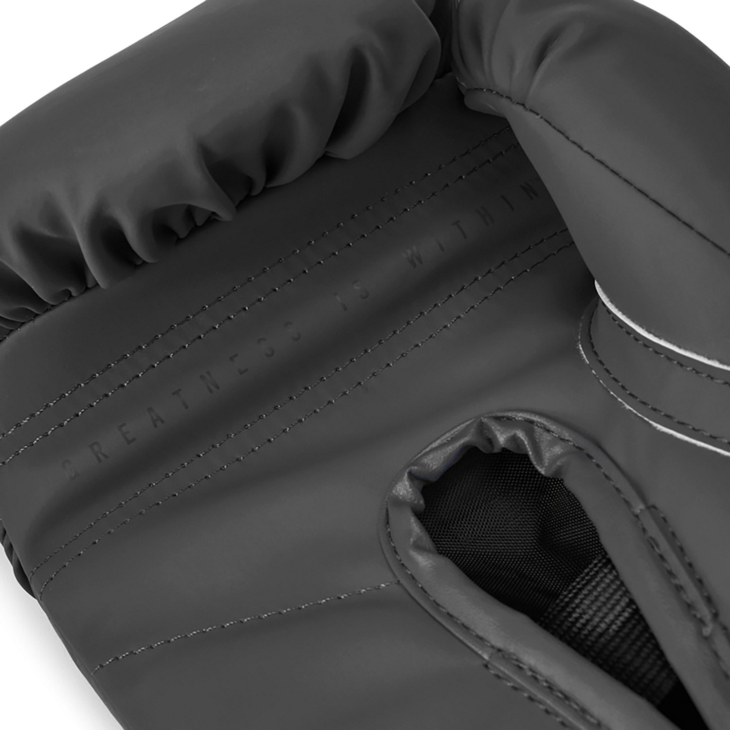 Everlast Elite 2 Foam Boxing Gloves - view number 4