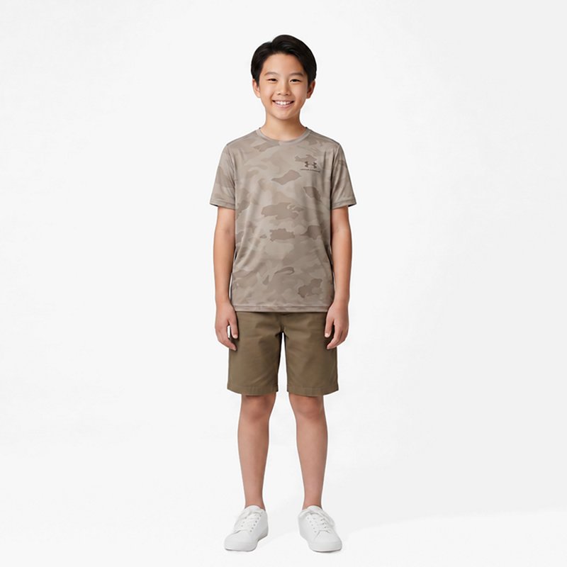 Under Armour Boys' Vanish Printed T-Shirt, Small, Timberwolf Taupe/Timberwolf Taupe