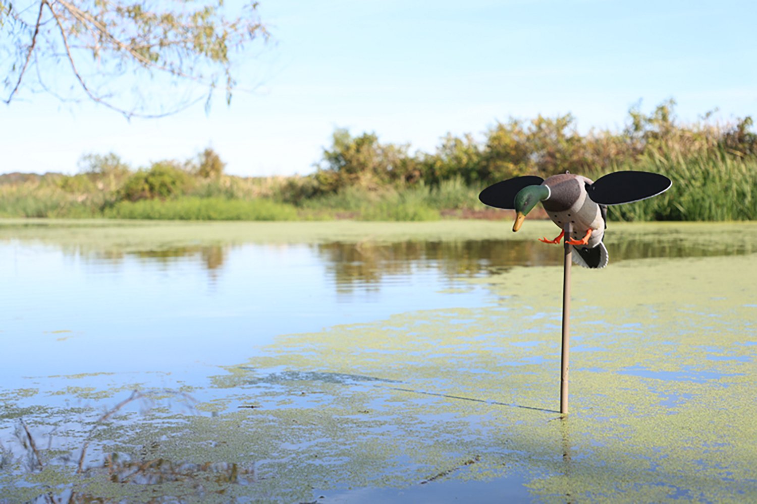 MOJO Outdoors Baby Drake 2.0 Decoy - view number 6