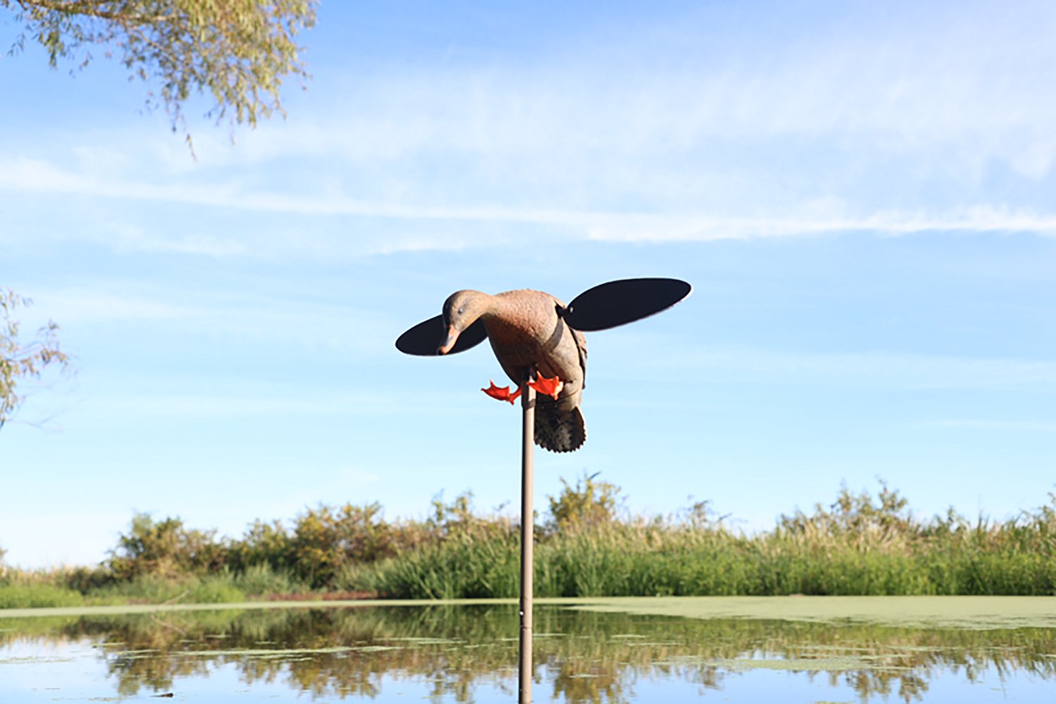 Mojo Outdoors Baby Hen 2.0 Decoy - view number 2